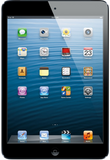 iPad Mini